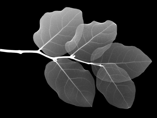 399746 (a): :1920x1440